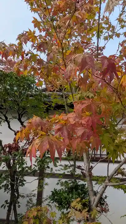 大法院(京都府)