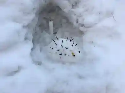 北広島市総鎮守 廣島神社の狛犬