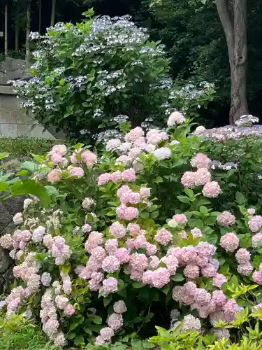有珠善光寺(北海道)