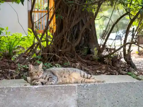 息栖神社(茨城県)