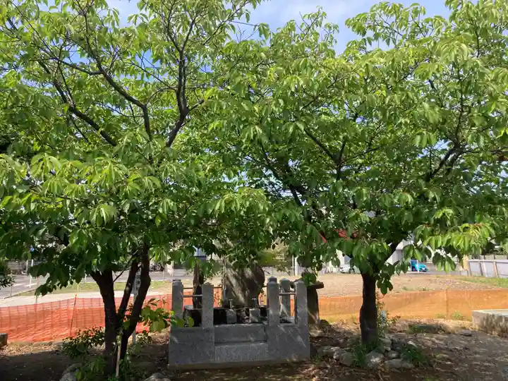 熊野神社(長持)(神奈川県)