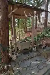 玉野御嶽神社の手水