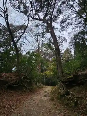 春日大社(奈良県)
