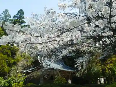 醍醐寺(京都府)