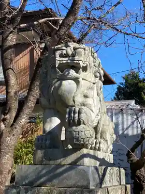 冨士御室浅間神社の狛犬