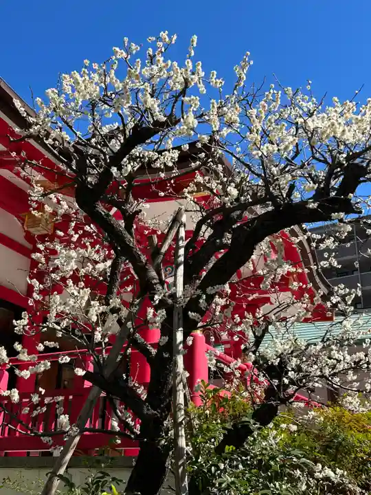 成子天神社(東京都)