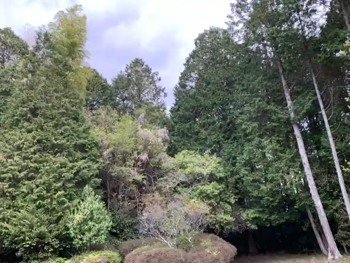 乎疑原神社(兵庫県)