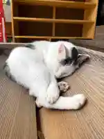 真野寺(千葉県)