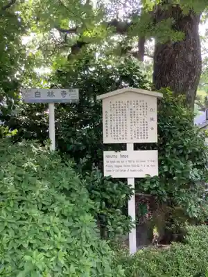 白林禅寺、白林寺の歴史