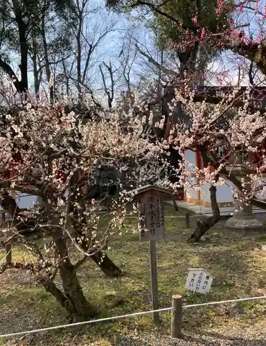 北野天満宮(京都府)
