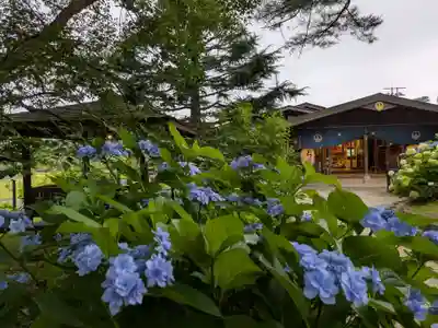 三斗小屋温泉神社(栃木県)