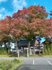 正福寺の建物その他