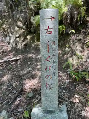 月輪寺(京都府)