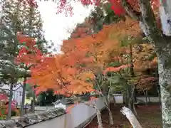 井山 宝福寺(岡山県)