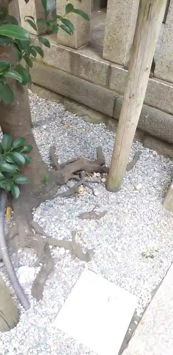 小野照崎神社の自然