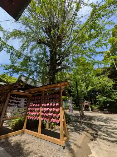 渋谷氷川神社(東京都)