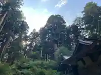 大宮温泉神社(栃木県)