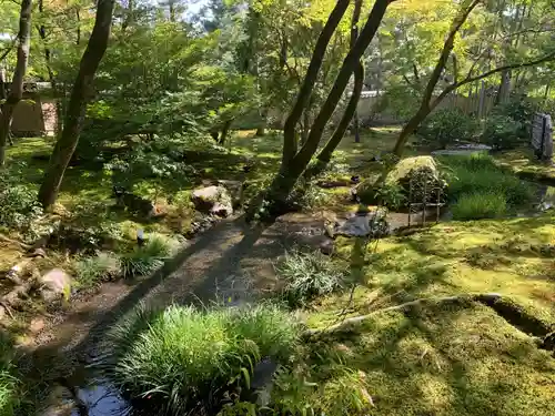 宝厳院の庭園