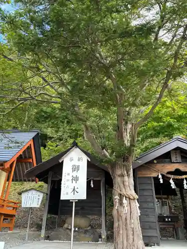 浦幌神社・乳神神社の自然