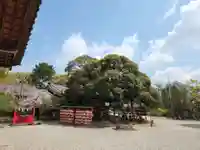 市原稲荷神社(愛知県)