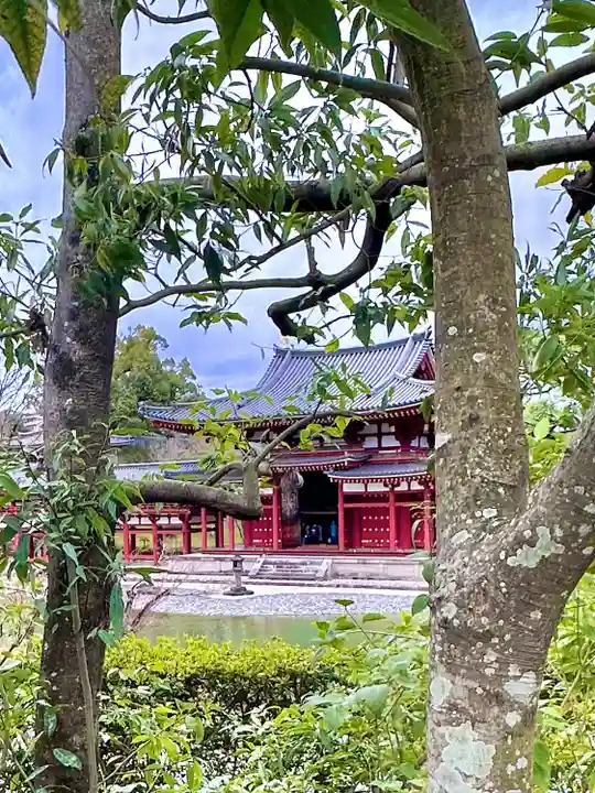 平等院(京都府)