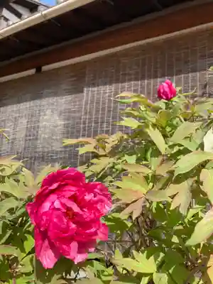 白旗観音寺(兵庫県)