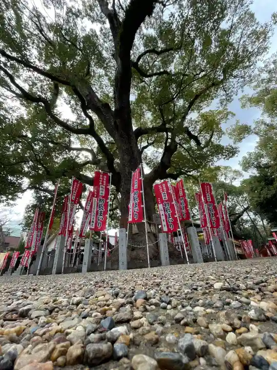 住吉大社の{uncategorized: "未分類", other: "その他", undefined: "問題あり", building: "その他建物", grave: "お墓", sacred_gate: "鳥居", guardian: "狛犬", statue: "像", buddha: "仏像", history: "歴史", nature: "自然", garden: "庭園", animal: "動物", pagoda: "塔", temizu: "手水舎", mountain_gate: "山門・神門", sanctuary: "本殿・本堂", subordinate: "末社・摂社", art: "芸術", scenery: "景色", jizo: "地蔵", ema: "絵馬", goshuin: "御朱印", omikuji: "おみくじ", items: "授与品その他", amulet: "お守り", goshuincho: "御朱印帳", eats: "食事", festival: "お祭り", votive_dance: "神楽", shichigosan: "七五三参", wedding: "結婚式", experience: "体験その他", initially: "初詣", around: "周辺", anti_infection: "感染症対策"}