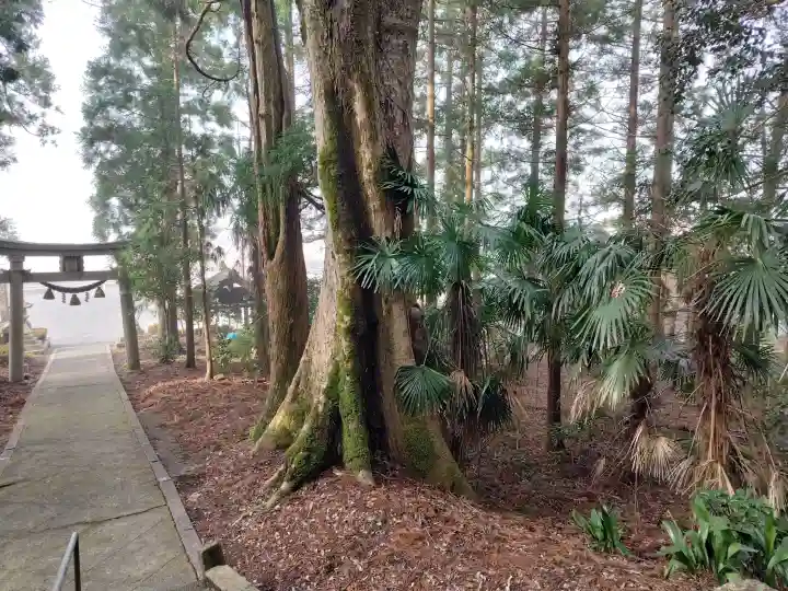 泉岡一言神社の{uncategorized: "未分類", other: "その他", undefined: "問題あり", building: "その他建物", grave: "お墓", sacred_gate: "鳥居", guardian: "狛犬", statue: "像", buddha: "仏像", history: "歴史", nature: "自然", garden: "庭園", animal: "動物", pagoda: "塔", temizu: "手水舎", mountain_gate: "山門・神門", sanctuary: "本殿・本堂", subordinate: "末社・摂社", art: "芸術", scenery: "景色", jizo: "地蔵", ema: "絵馬", goshuin: "御朱印", omikuji: "おみくじ", items: "授与品その他", amulet: "お守り", goshuincho: "御朱印帳", eats: "食事", festival: "お祭り", votive_dance: "神楽", shichigosan: "七五三参", wedding: "結婚式", experience: "体験その他", initially: "初詣", around: "周辺", anti_infection: "感染症対策"}