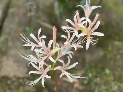 伊勢の国 四天王寺(三重県)