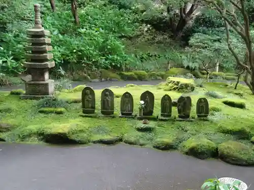 報国寺の庭園