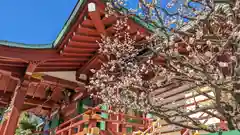 亀戸天神社(東京都)