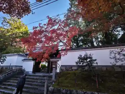 東福禅寺(東福寺)(京都府)