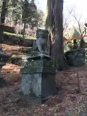 金櫻神社の狛犬