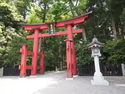 彌彦神社の鳥居