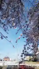 神明社（国府宮神明社）の自然