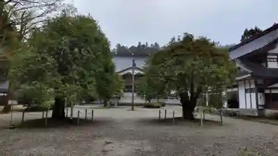 立山寺の本殿・本堂