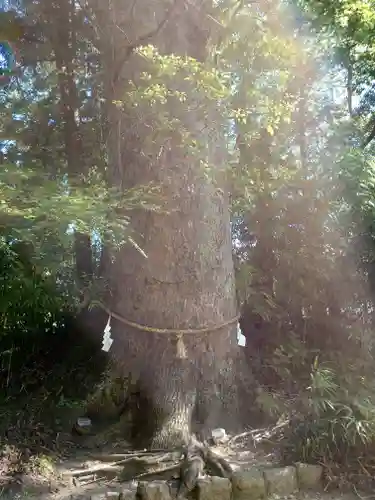 土佐神社(高知県)