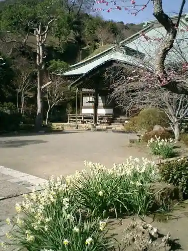 海蔵寺の本殿・本堂