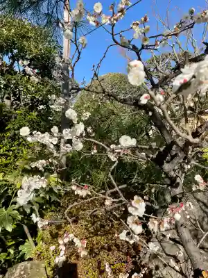 栄松院(東京都)