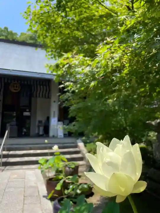 伊勢の国 四天王寺(三重県)