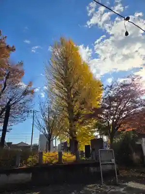 相模原氷川神社(神奈川県)
