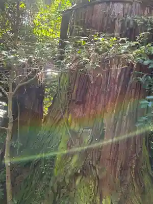 香取神宮(千葉県)