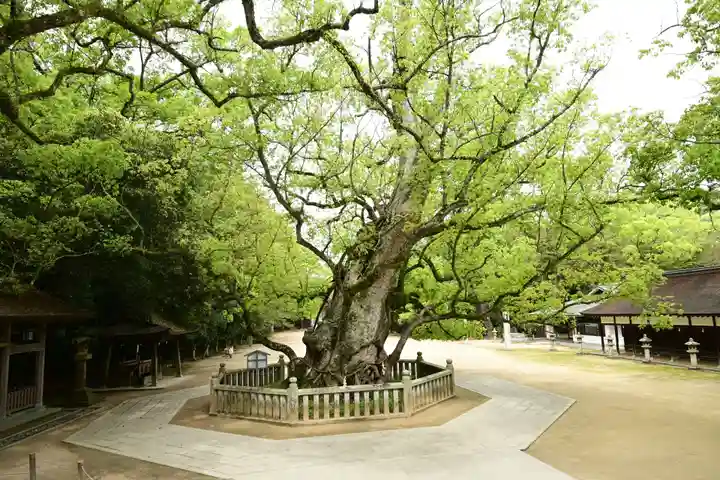 大山祇神社(愛媛県)