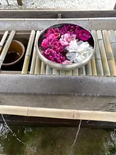 上野東照宮の手水舎