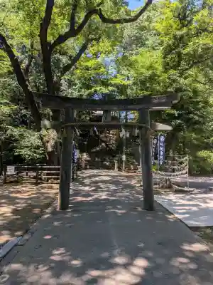 仙波東照宮の{uncategorized: "未分類", other: "その他", undefined: "問題あり", building: "その他建物", grave: "お墓", sacred_gate: "鳥居", guardian: "狛犬", statue: "像", buddha: "仏像", history: "歴史", nature: "自然", garden: "庭園", animal: "動物", pagoda: "塔", temizu: "手水舎", mountain_gate: "山門・神門", sanctuary: "本殿・本堂", subordinate: "末社・摂社", art: "芸術", scenery: "景色", jizo: "地蔵", ema: "絵馬", goshuin: "御朱印", omikuji: "おみくじ", items: "授与品その他", amulet: "お守り", goshuincho: "御朱印帳", eats: "食事", festival: "お祭り", votive_dance: "神楽", shichigosan: "七五三参", wedding: "結婚式", experience: "体験その他", initially: "初詣", around: "周辺", anti_infection: "感染症対策"}