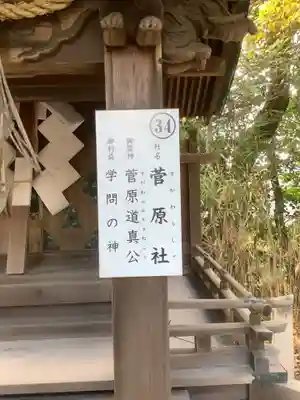 津島神社の歴史