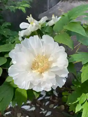 上野大佛(東京都)