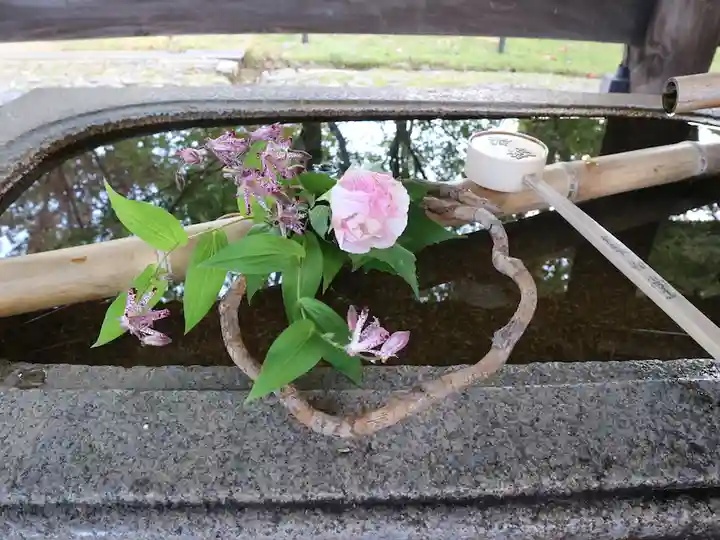 真正極楽寺(真如堂)(京都府)