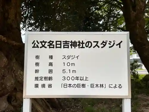 日吉神社(福井県)