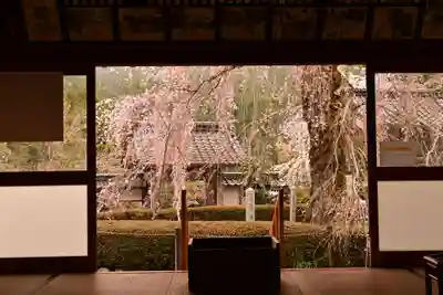 法蓮寺(愛媛県)